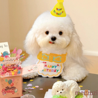 Birthday Party Bib and Hat for Cats and Dogs