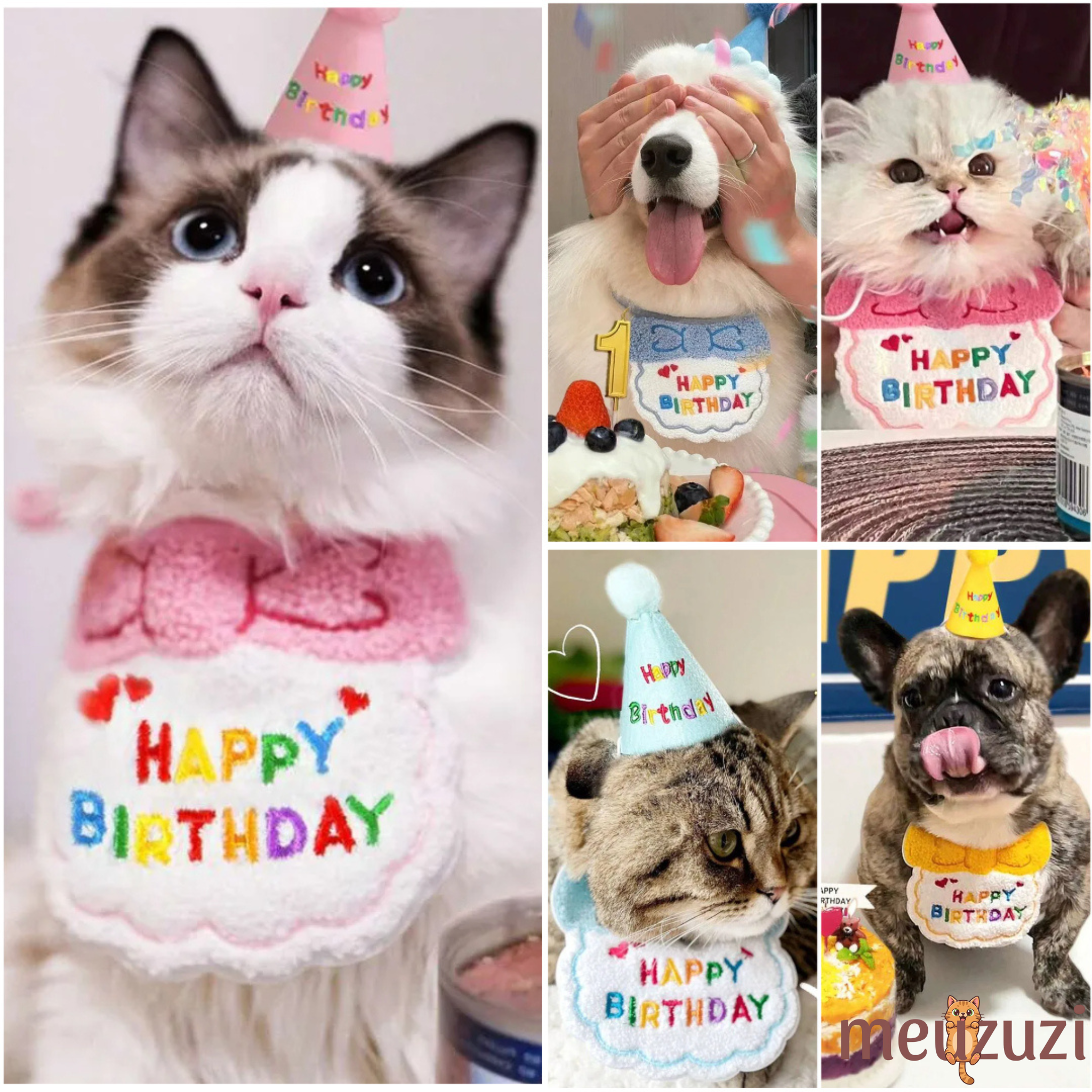 Birthday Party Bib and Hat for Cats and Dogs