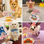 Birthday Party Bib and Hat for Cats and Dogs