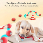 Smart Electric Pet Toy Ball with Sensor