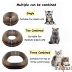 Magic Organ Cat Scratcher Board with Ball