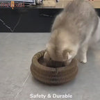 Magic Organ Cat Scratcher Board with Ball