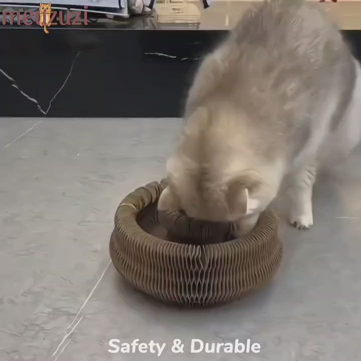 Magic Organ Cat Scratcher Board with Ball